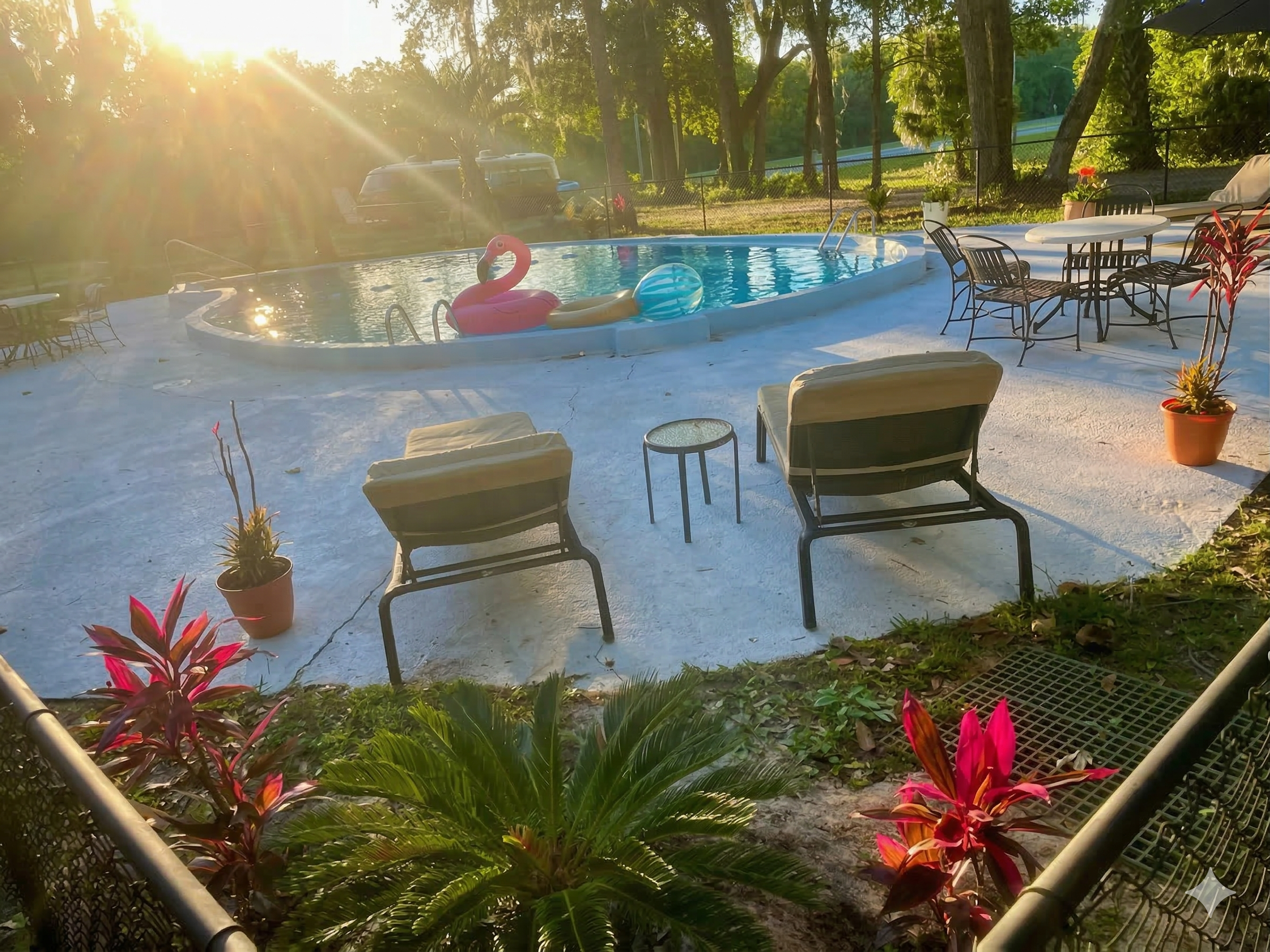 Two lounge chairs face a backyard pool with inflatable toys. There are patio tables, potted plants, and sunlight streaming through trees in the background.