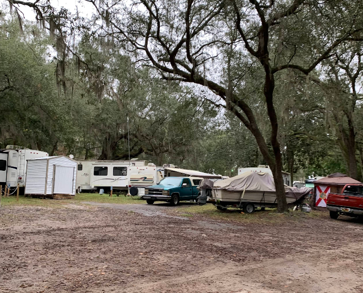 Several RVs, a green truck, a boat on a trailer, and a red vehicle are parked among large trees on a dirt lot.